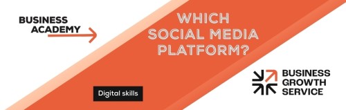 Which Social Media Platform to use (text only)
